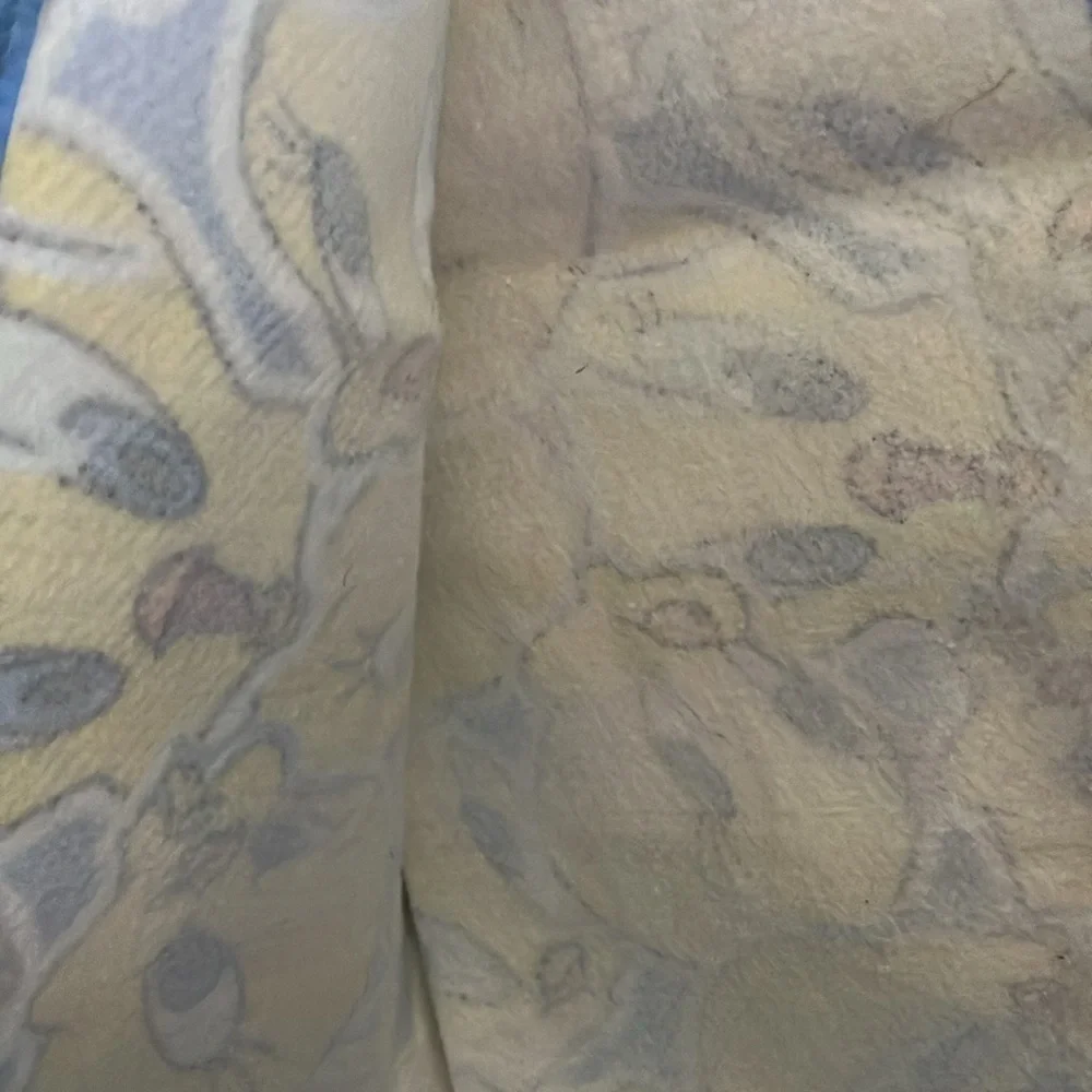 Vintage Tweety Bird,‎ Blanket Looney Tunes, Twin 42x62 Blue and Yellow